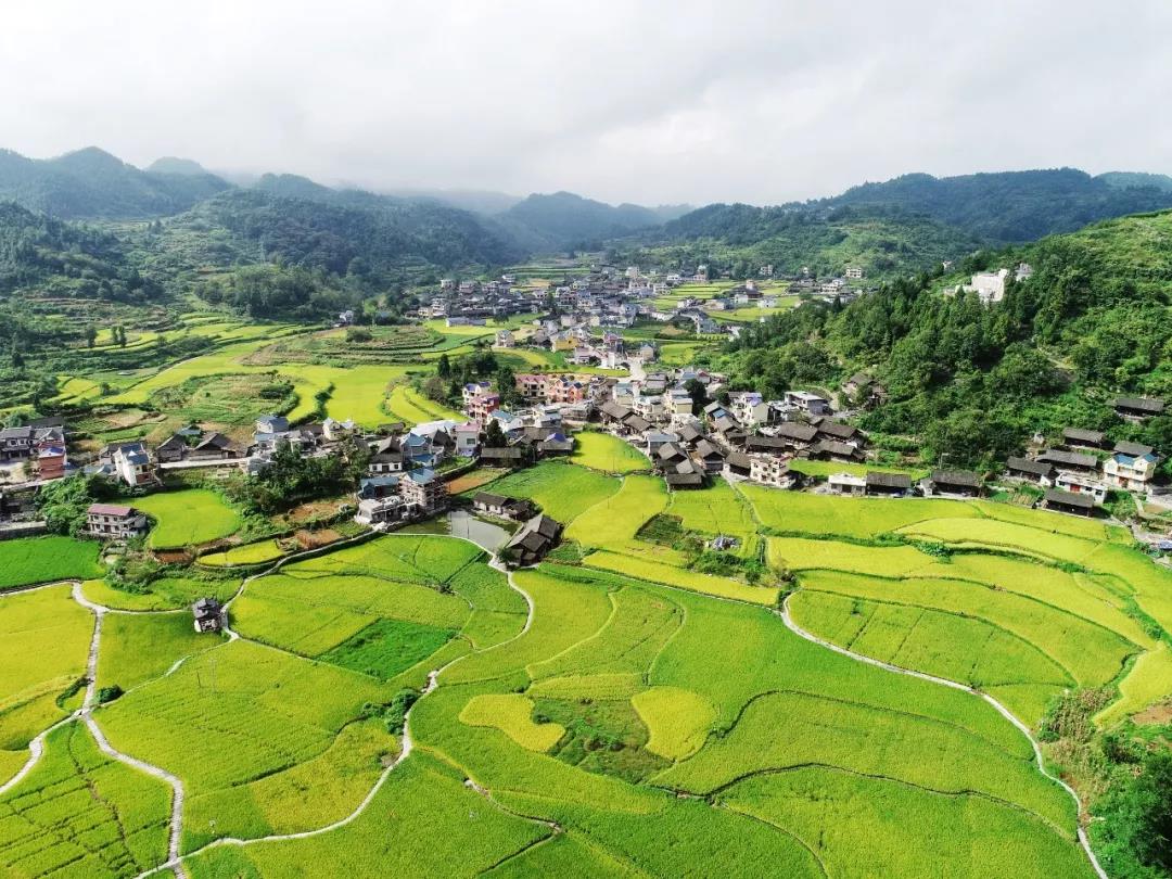 孩子陪老人洗浴俩人都免费