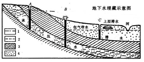 一只两个手掌大的甲鱼在冰下浅水里