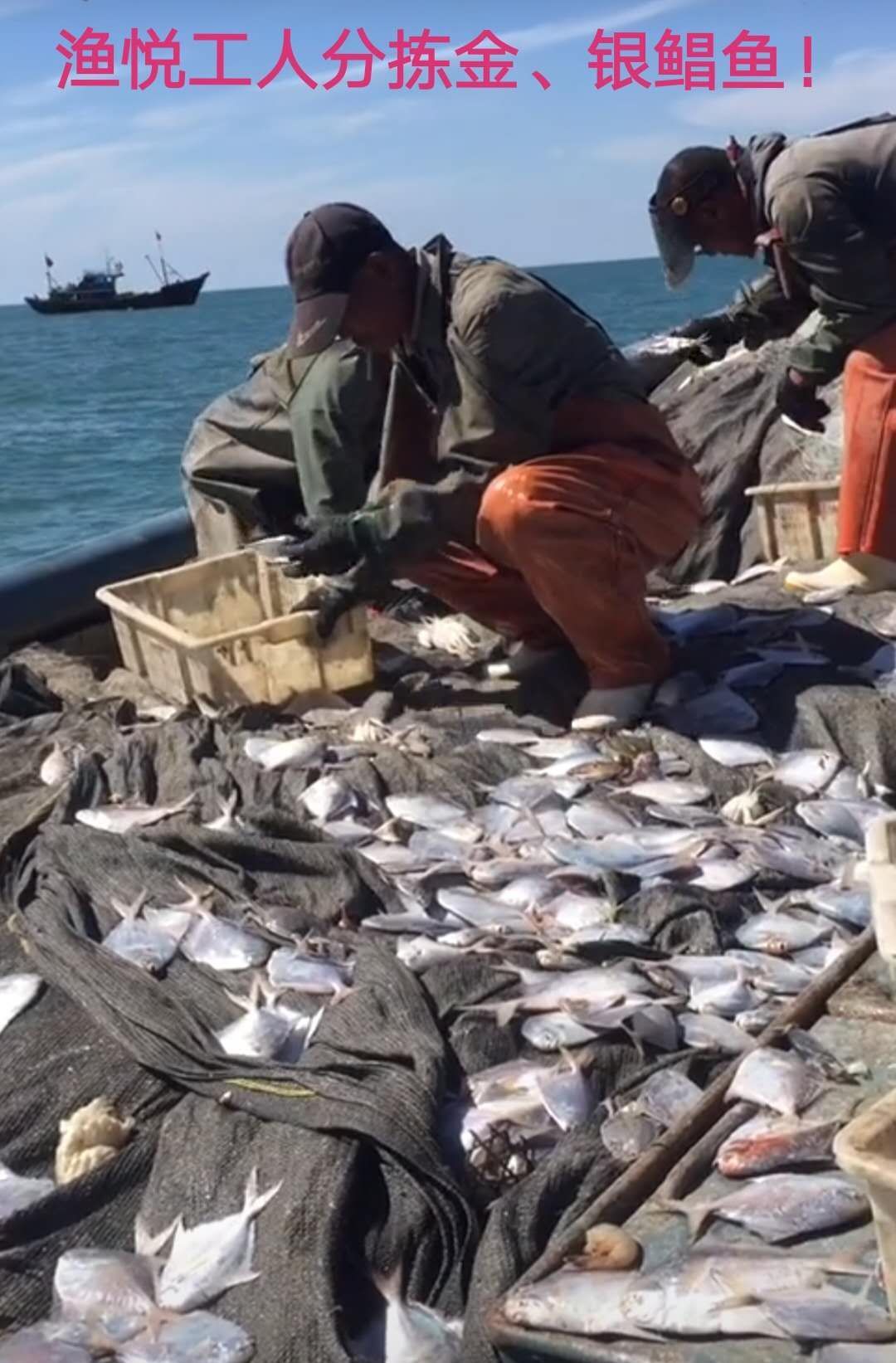 负责看守海山学校西边的山林