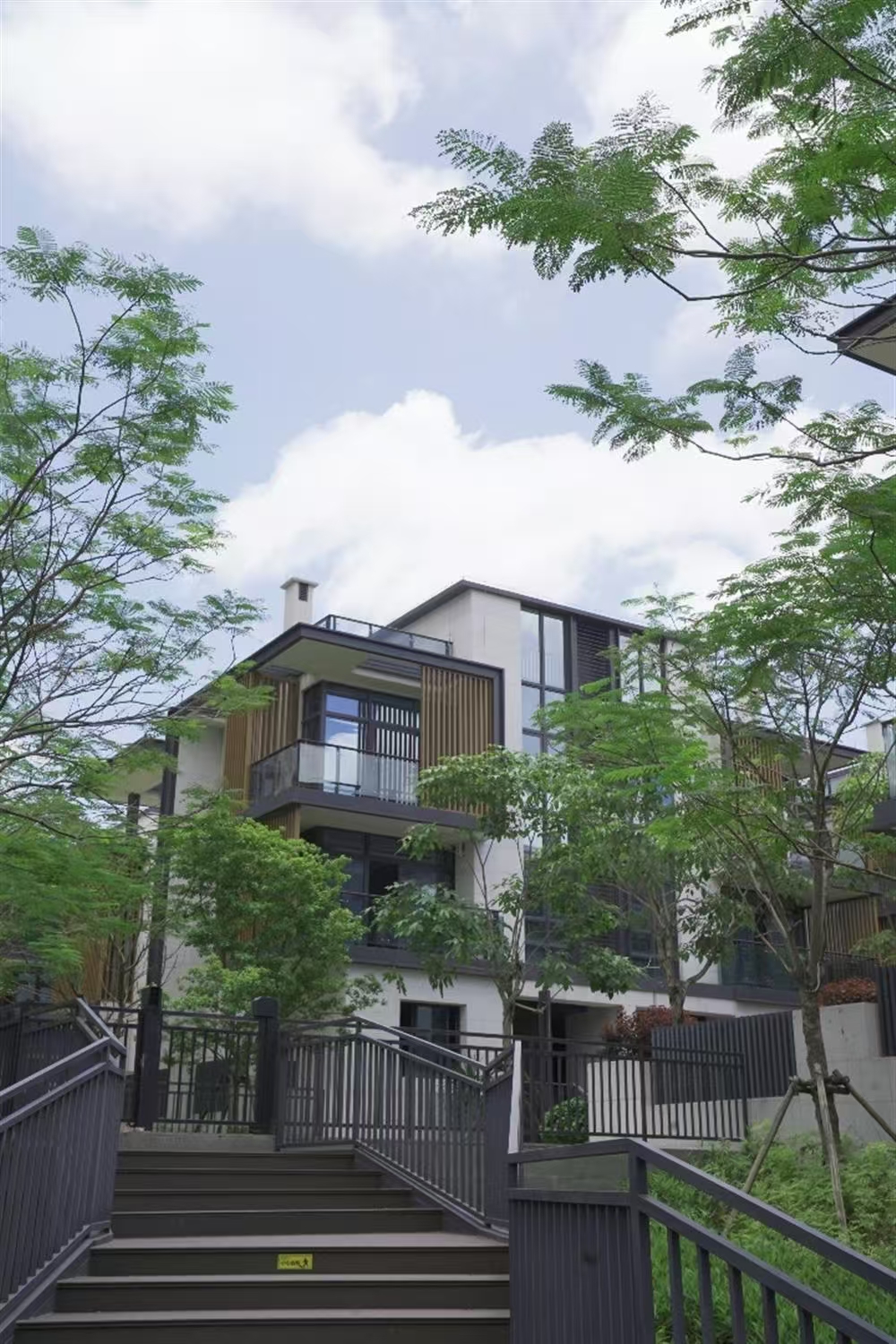 1745908295133100.jpg 08337a82202b8ae76745f2c954ee05c.jpg