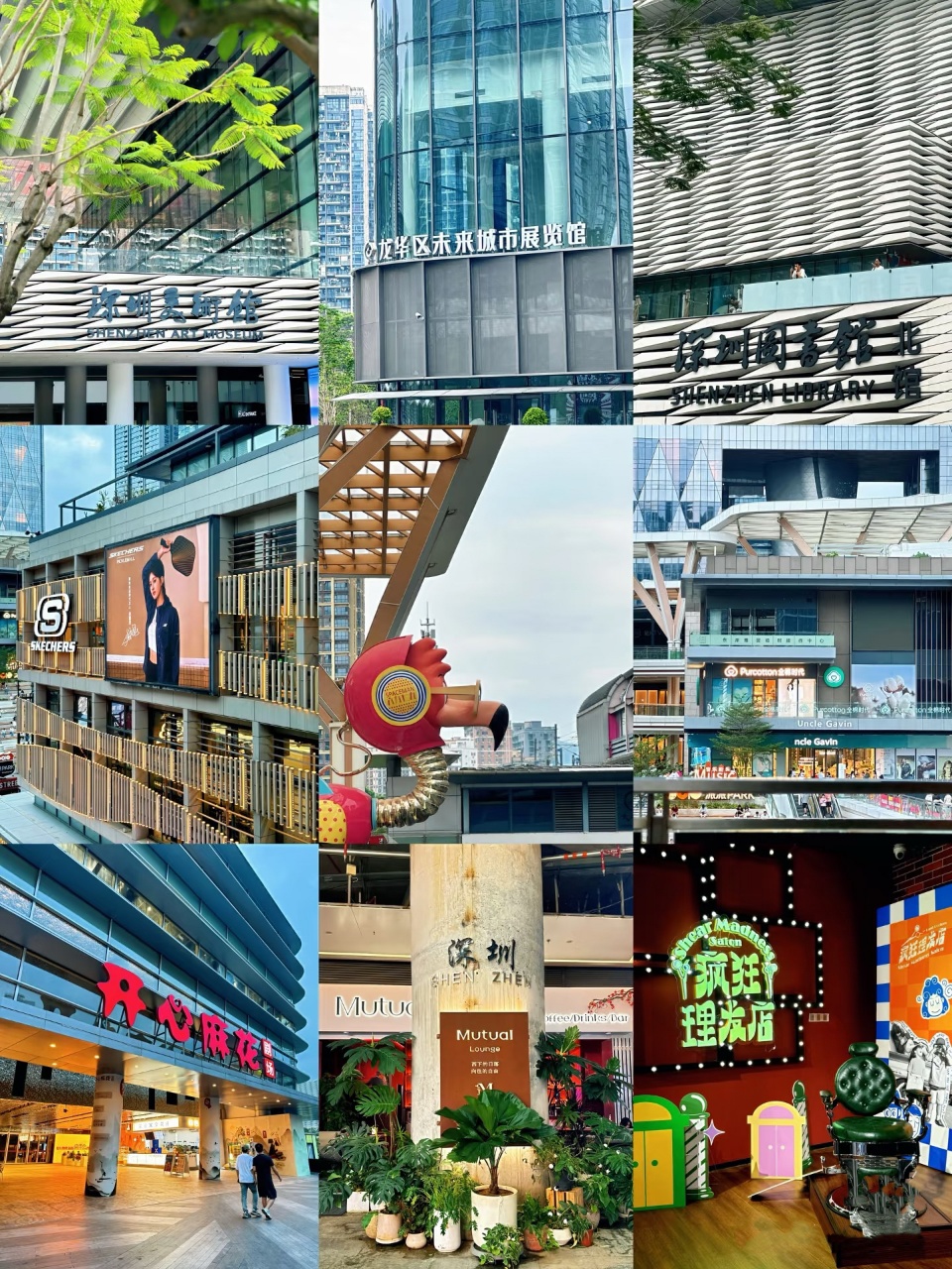 1769852486650506.jpg 微信图片_202601311734044_10.jpg